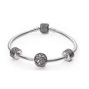 Glistening Wonder Pandora Bracelet Gift Set